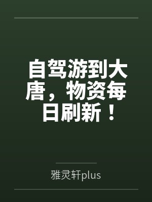 自驾游到大唐,物资每日刷新!