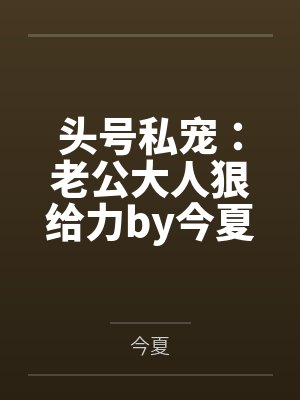 头号私宠：老公大人狠给力by今夏简安然