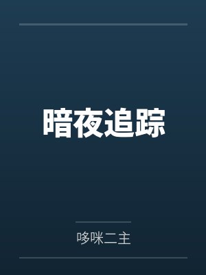 暗夜追踪
