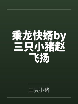 乘龙快婿by三只小猪赵飞扬